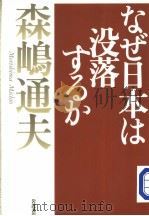 なぜ日本は没落するか（1999年03月 PDF版）