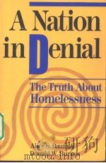 A Nation in Denial PDF电子版封面 0813382459