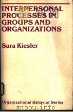 Interpersonal Processes in Groups and Organizations PDF电子版封面 0882954512
