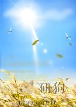 the true story of Queen Victoria PDF电子版封面