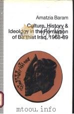 Culture,History and Ideology in the Formation of Ba thist Iraq 1968-89 PDF电子版封面 031204805X