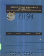 BUILDING THE INFORMATION-AGE ORGANIZATION:STRUCTURE,CONTROL,AND INFORMATION TECHNOLOGIES PDF电子版封面 0256124582