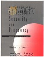 Handbook of Adolescent Sexuality and Pregnancy PDF电子版封面