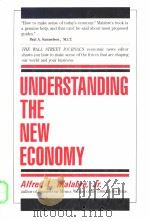 Understanding the New Economy PDF电子版封面