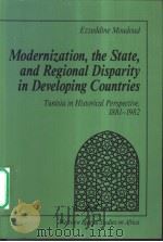 Modernization,the State,and Regional Disparity in Developing Countries PDF电子版封面 0813377099