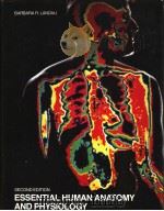 Essential Human Anattomy and Physiology PDF电子版封面