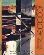 SOCIOLOGY:The Study of Society PDF电子版封面 0030418518