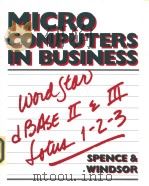 MICROCOMPUTERS IN BUSINESS PDF电子版封面 0801650305
