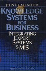 Knowledge Systems for Business（ PDF版）