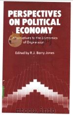 Perspectives on Political Economy PDF电子版封面