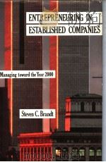 ENTREPRENEURING IN ESTABLISHED COMPANIES（ PDF版）