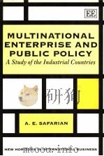 Multinational Enterprise and Public Policy PDF电子版封面 1852787147