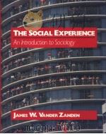 The Social Experience PDF电子版封面