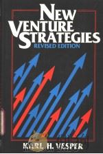 New Venture Strategies PDF电子版封面 0136159079