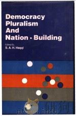 Democracy Pluralism And Nation-Building PDF电子版封面