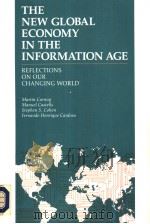 THE NEW GLOBAL ECONOMY IN THE INFORMATION AGE PDF电子版封面 0333594894