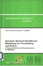 Dynamic General Equilibrium Modelling for forecasting and Policy PDF电子版封面 0444512608