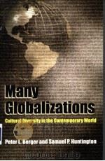 Many Globalizations（ PDF版）
