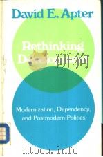 Rethinking Development PDF电子版封面