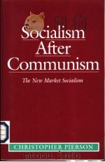 SOCIALISM AFTER COMMUNISM PDF电子版封面 0745614582