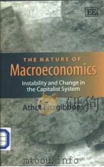 The Nature of Macroeconomics PDF电子版封面 1840640693