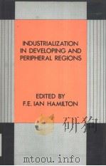 INDUSTRALIZATION IN DEVELOPING AND PERIPHERAL REGIONS PDF电子版封面 0709938776