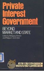 Private Interest Government PDF电子版封面 080399723X