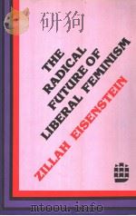 THE RADICAL FUTURE OF LIBERAL FEMINISM PDF电子版封面