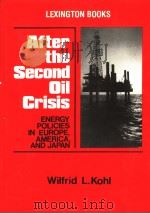 After the Second Oil Crisis PDF电子版封面 0669045470