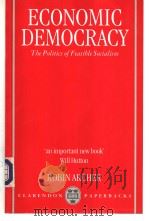 ECONOMIC DEMOCRACY     PDF电子版封面  0198295383   