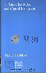 Infaltion Tax Rules and Capital Formation PDF电子版封面