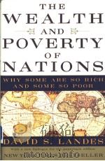 The Wealth and Poverty Of Nations Why Some Are So Rich and Some So Poor DAVID S LANDES PDF电子版封面