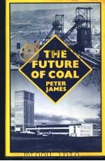 THE FUTURE OF COAL PDF电子版封面 0333307313