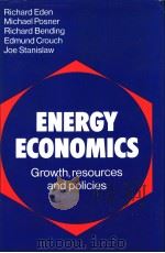 ENERGY ECONOMICS PDF电子版封面 0521236851