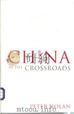 CHINA AT THE CROSSROADS PDF电子版封面