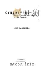 CYBERTYPES:Race Ethnicity and Identity on the Internet     PDF电子版封面  0415938368   
