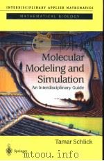 Molecular modeling and simulation:an interdisciplinary guide PDF电子版封面 038795404X