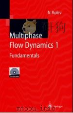 Multiphase flow dynamics 一 PDF电子版封面