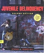 JUVENILE DELINQUENCY PDF电子版封面 0205132359
