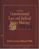 Constitutional Law and Judicial Policy Making PDF电子版封面 058228483X