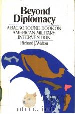 Beyond Diplomacy（ PDF版）