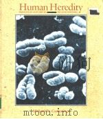 Human Heredity     PDF电子版封面  0314773029   
