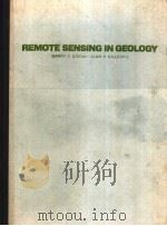 REMOTE SENSING IN GEOLOGY PDF电子版封面