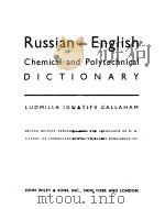 Russian-English PDF电子版封面