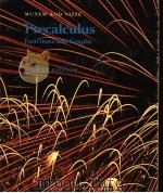 Precalculus（ PDF版）
