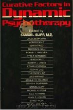 Curative Factors in Dynamic Psychotherapy PDF电子版封面 0070581908