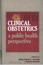 CLINICAL OBSTETRICS:A PUBLIC HEALTH PERSPECTIVE PDF电子版封面 0884165132