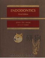 ENDODONTICS（ PDF版）