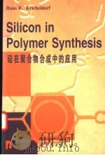 硅在聚合物合成中的应用（1998 PDF版）