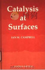 Catalysis at Surfaces（ PDF版）